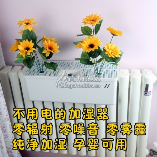 -52f009499383097d.jpg